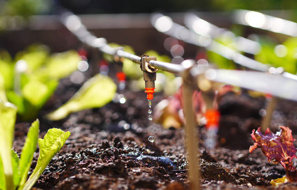 Technoplastic irrigation fittings in the field
